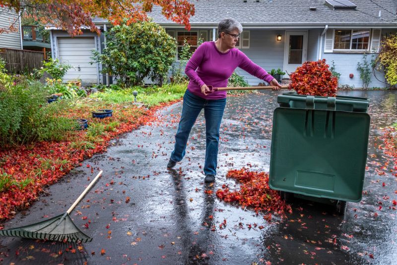 Fall Leaf Cleanup Process