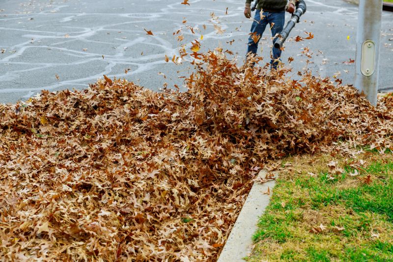Leaf Blowing Techniques