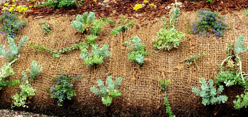 Landscape Erosion Restoration