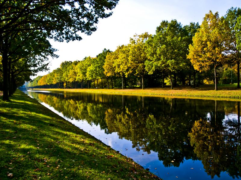 Landscape Erosion Restoration