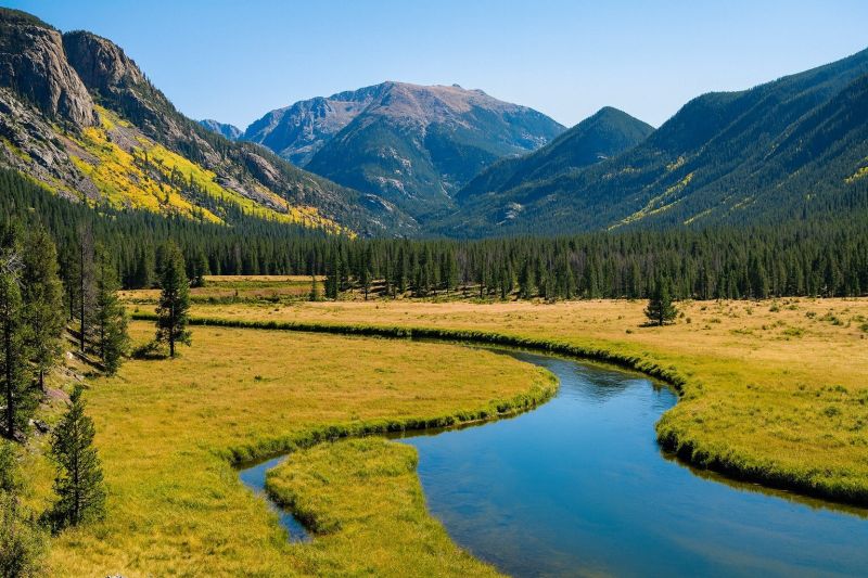 Landscape Erosion Restoration