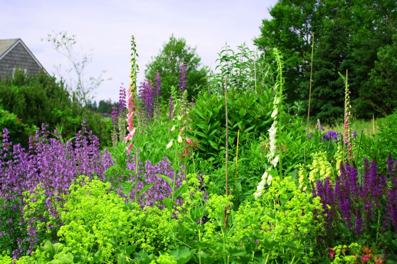 Vegetation on Eroded Land